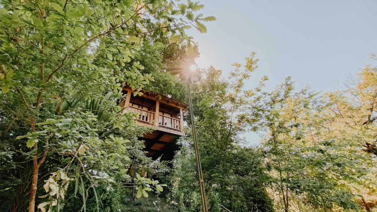 Landhaus Quinta Do Padrao Penafiel