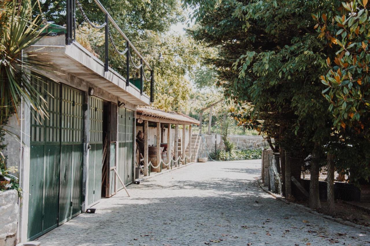 Quinta Do Padrao *